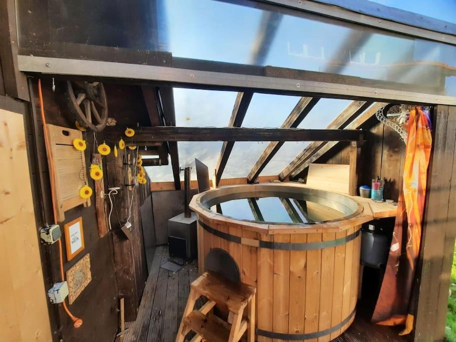 Musik Und - Balboo - Bayrischer Wald - Sauna - Pool - Grillen Apartment Spiegelau