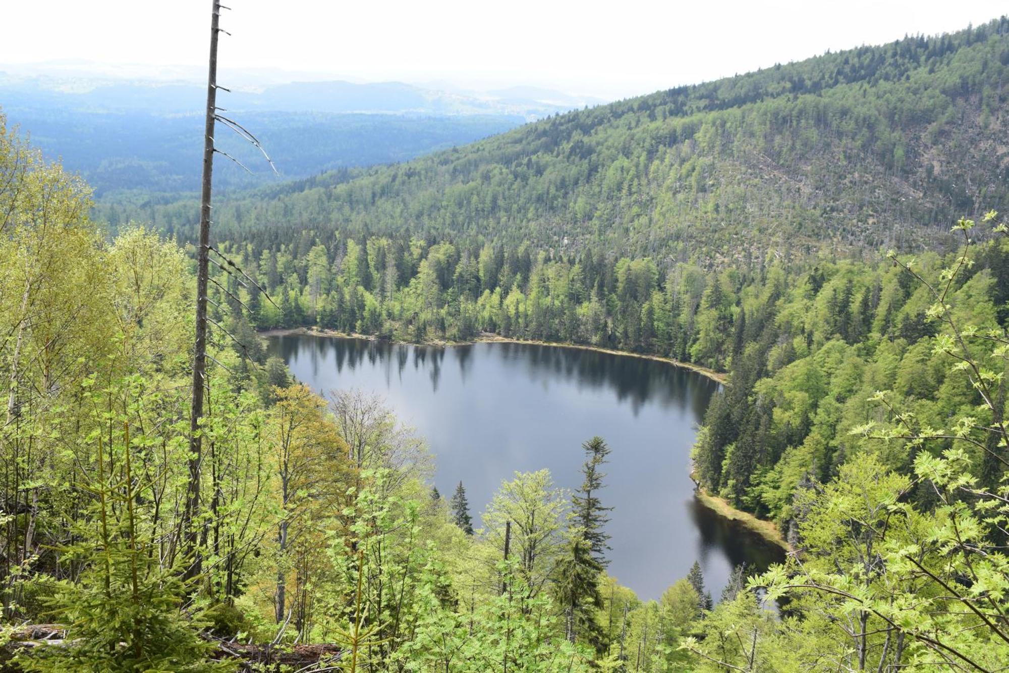 Musik Und - Balboo - Bayrischer Wald - Sauna - Pool - Grillen Spiegelau
